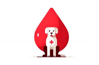 переливання крові собаці